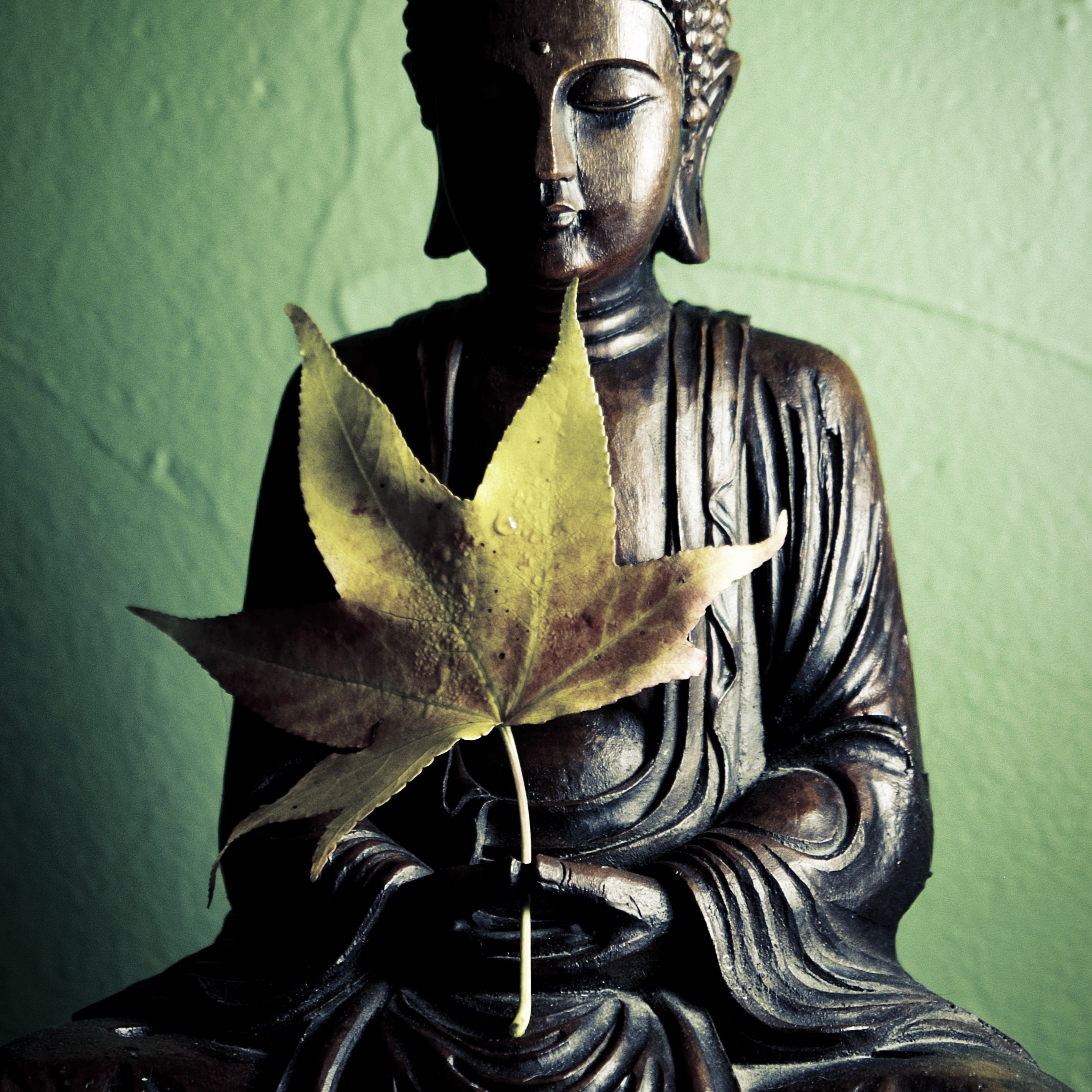 Buddha with leaf